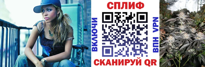 Конопля конопля  магазин продажи наркотиков  Назрань 